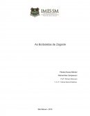 As Borboletes de Zagorski