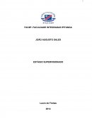 Relatório Estágio Supervisionado do Curso de Administração da UNIBAHIA