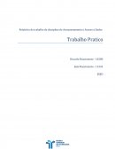 Relatório do Trabalho da Disciplina de Armazenamento e Acesso a Dados