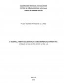 O DESENVOLVIMENTO DE LIDERANÇAS COMO DIFERENCIAL COMPETITIVO