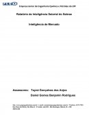 Relatório de Inteligência Setorial do Sebrae