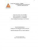 DESAFIO PROFISSIONAL TEORIA DA CONTABILIDADE CIÊNCIAS SOCIAIS E RESPONSABILIDADE SOCIAL E MEIO AMBIENTE