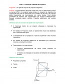 Planeamento e Gestão de Projetos