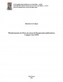 Relatório de Estágio Monitoramento da Flora em áreas de Recuperação ambiental no Campus I da UFPB