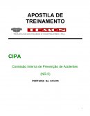 Treinamento de Cipa Apostila