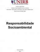 A Responsabilidade Socioambiental