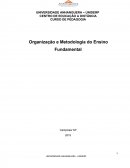 Organização e Metodologia do Ensino Fundamental