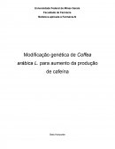 Modificação Genética de Coffea