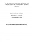 TIPOS DE LIDERANÇA NAS ORGANIZAÇÕES