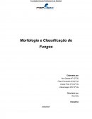 Morfologia e Classificação de Fungos