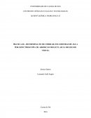 PRATICA III – DETERMINAÇÃO DE COBRE (II) EM AMOSTRAS DE ÁGUA POR ESPECTROSCOPIA DE ABSORÇÃO MOLECULAR NA REGIÃO DO VÍSIVEL