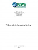 Vulvovaginite Infecciosa Bovina (IBR)