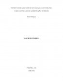 Paralelo entre a Teoria Keynesiana e o Crescimento da Economia Brasileira entre 2003/11