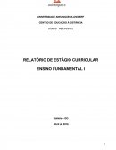 RELATÓRIO DE ESTÁGIO CURRICULAR ENSINO FUNDAMENTAL I