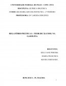 RELATÓRIO PRÁTICA I : TEOR DE ÁLCOOL NA GASOLINA