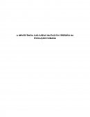 A IMPORTÂNCIA DAS ÁREAS INATAS DO CÉREBRO NA EVOLUÇÃO HUMANA