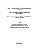 DESENVOLVIMENTO A PARTIR DAS TEORIAS DE PIAGET, VYGOTSKY E WALLON