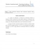 Direito Constitucional para Concursos