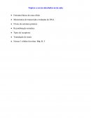 BASES GENÉTICAS E BIOQUÍMICAS DA IMUNOLOGIA