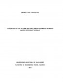 TRANSPORTE DE GAS NATURAL EN TUBOS UNIDOS POR MEDIO DE BRIDAS USANDO DERIVADAS PARCIALES