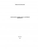 JUDICIALIZAÇÃO, ATIVISMO JUDICIAL E LEGITIMIDADE DEMOCRÁTICA