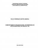 COMPORTAMENTO ORGANIZACIONAL EM EMPRESAS DO SETOR INDUSTRIAL DE ARACAJU, SE SÃO CRISTÓVÃO