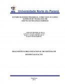 DIAGNOSTICO ORGANIZACIONAL DO SISTEMA DE RESSOCIALIZAÇÃO