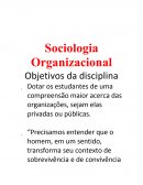 A Sociologia Organizacional
