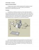 Estudo Dirigido Giroscópio