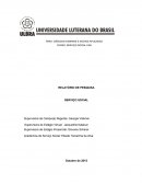 RELATÓRIO DE PESQUISA SERVIÇO SOCIAL