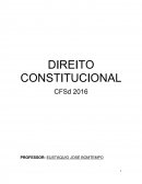 O DIREITO CONSTITUCIONAL