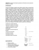 Extração da Piperina por Soxhlet