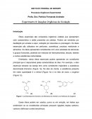 Experimento 8: Reação de Oxidação