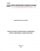 ANÁLISE DE HORAS IN ITINERE DEVIDAS AO EMPREGADO, FRENTE O ORDENAMENTO JURÍDICO BRASILEIRO