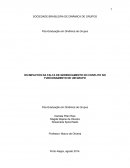 OS IMPACTOS DA FALTA DE GERENCIAMENTO DO CONFLITO NO FUNCIONAMENTO DE UM GRUPO