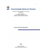 SISTEMA DE ENSINO PRESENCIAL CONECTADO