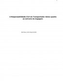 A Responsabilidade Civil do Transportador Aéreo Quanto ao Extravio de Bagagem.