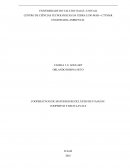 COOPERATIVAS DE MATERIAIS RECICLÁVEIS DE ITAJAÍ-SC: COOPERFOZ E RECICLAVALE