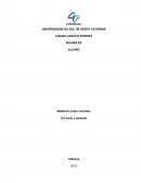 Relatório sobre circuitos Em série e paralelo