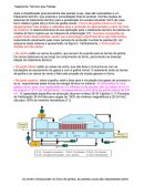 ANÁLISE ERGONÔMICA - FORMULÁRIO