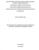 RELATÓRIO EXECUTIVO: CONSISTÊNCIA DOS DADOS HISTÓRICOS DE CHAPECÓ/SC, CAÇADOR/SC, SÃO JOAQUIM/SC E LAGES/SC.