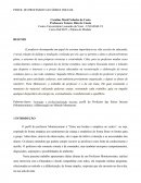 Paper Perfil do Professor nas Séries Iniciais