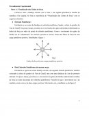 Procedimento Experimental Parte A: Visualização das Linhas de força