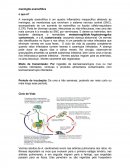 Meningite Eosinofílica