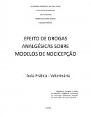 EFEITO DE DROGAS ANALGÉSICAS SOBRE MODELOS DE NOCICEPÇÃO