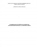 A FENOMENOLOGIA NA PERSPECTIVA HUSSERLIANA: UMA ABORDAGEM INTENCIONAL DA CONSCIÊNCIA HUMANA