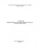 RESÍDUOS SÓLIDOS: Os Riscos e Danos Causados pelos Resíduos em Governador Valadares e Brasil.