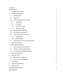 Relatório Executivo do Diagnóstico Situacioal de Manaus