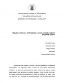 Resenha Sociologia sobre Bauman