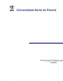 A ADMINISTRAÇÃO EM SISTEMAS DE INFORMAÇÕES, ESTRATÉGIA EMPRESARIAL E GESTÃO DE NEGÓCIOS